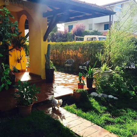 Bed & Breakfast La Lecciona Viareggio